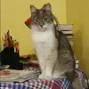 Отзыв от Екатерина Ильина